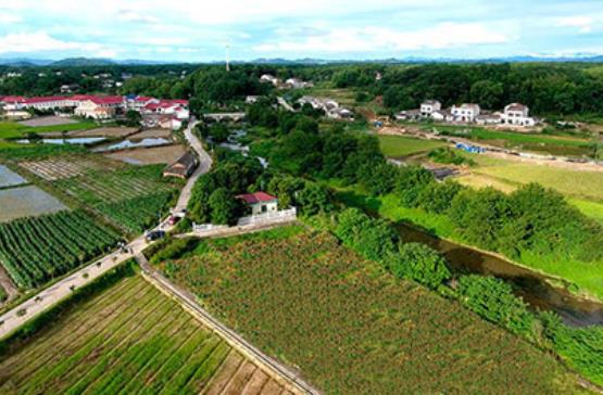 農(nóng)村污水治理企業(yè)哪家好？雖然農(nóng)村污水行業(yè)市場空間大，但是相對(duì)于城市污水處理廠，農(nóng)村污水治理對(duì)水務(wù)企業(yè)的吸引力偏弱。相比城市，農(nóng)村污水處理市場更分散，專業(yè)人員少，對(duì)運(yùn)維的要求更直接、迫切。